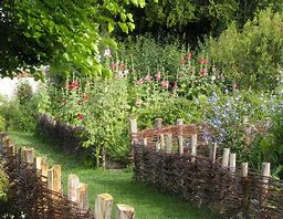 A Medieval Garden